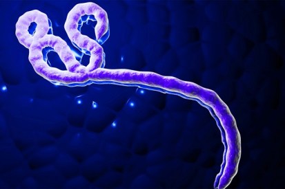 ebola