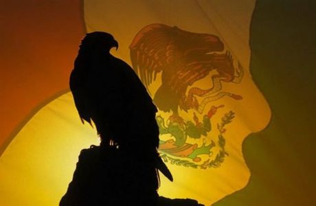 10304501_731193343611545_1190032321007687857_n