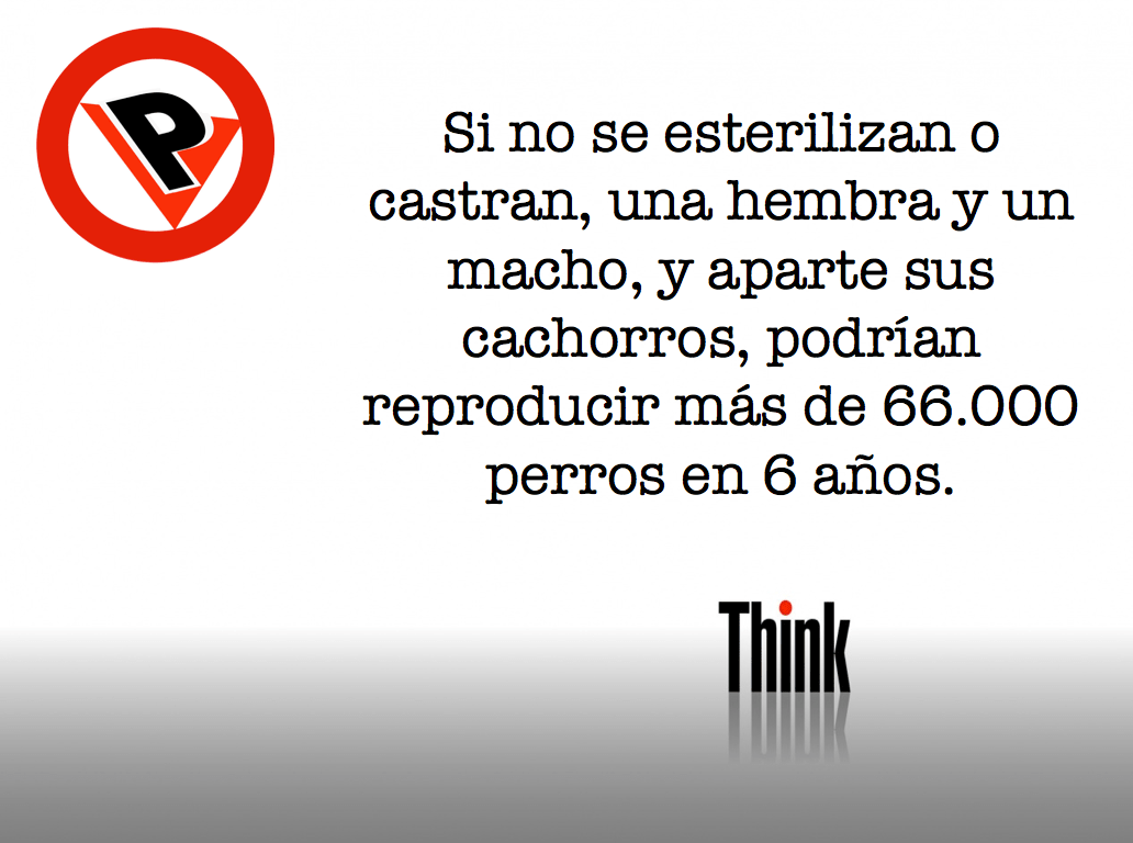 captura-de-pantalla-2017-01-18-a-las-11-59-29