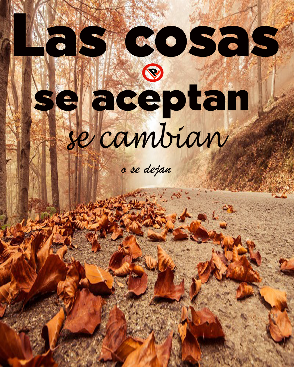 Frases-Permanencias-Voluntarias