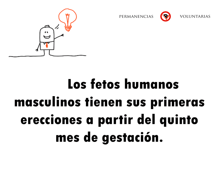 sabiasque-88--permanencias-voluntarias
