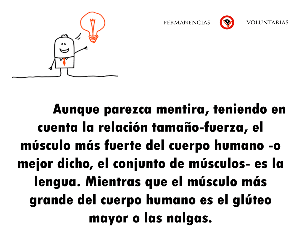 sabiasque-91--permanencias-voluntarias
