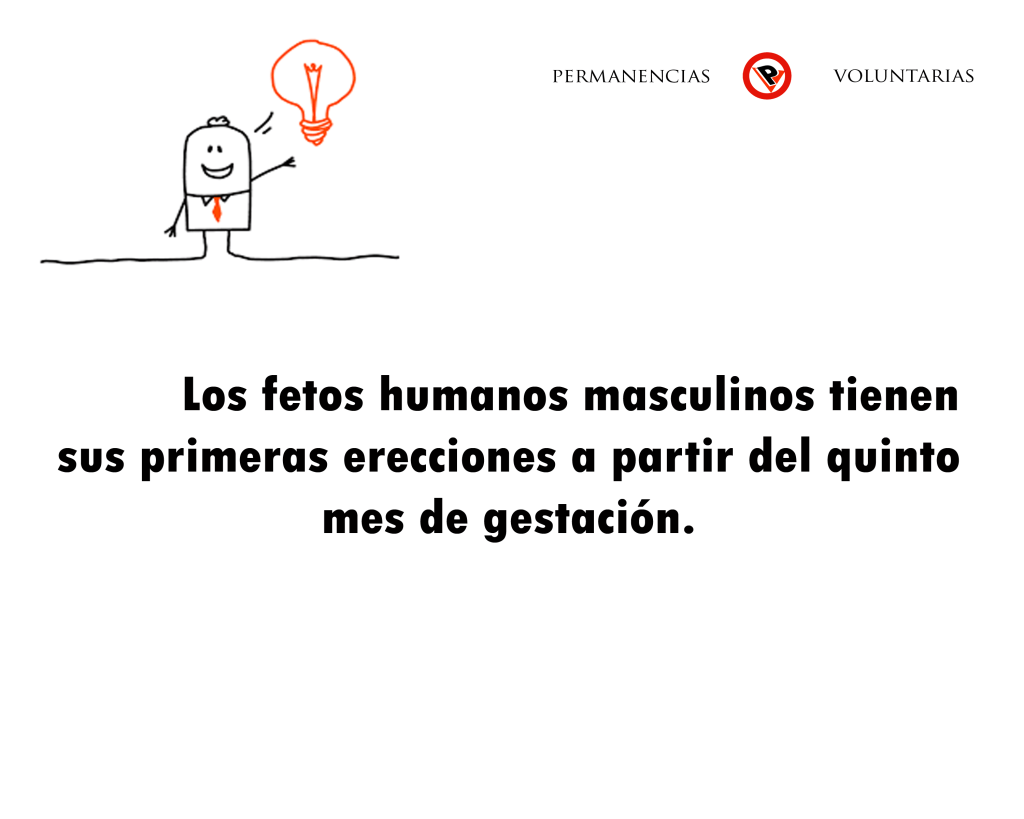sabiasque-93--permanencias-voluntarias