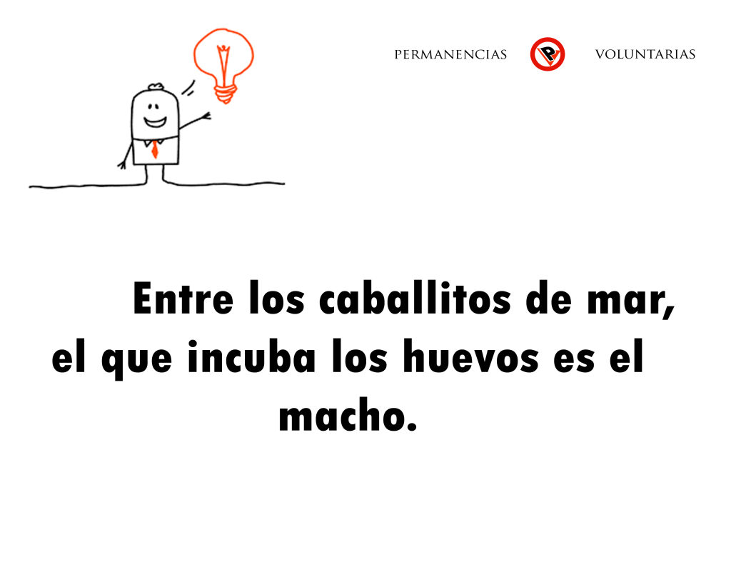 sabiasque-97--permanencias-voluntarias