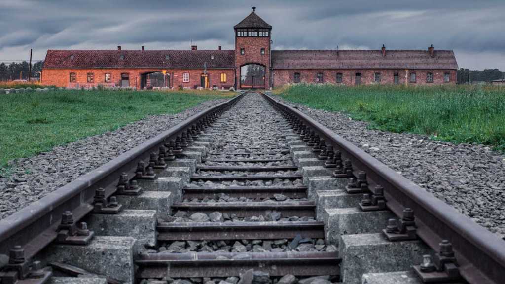 Auschwitz-Permanencias-Voluntarias