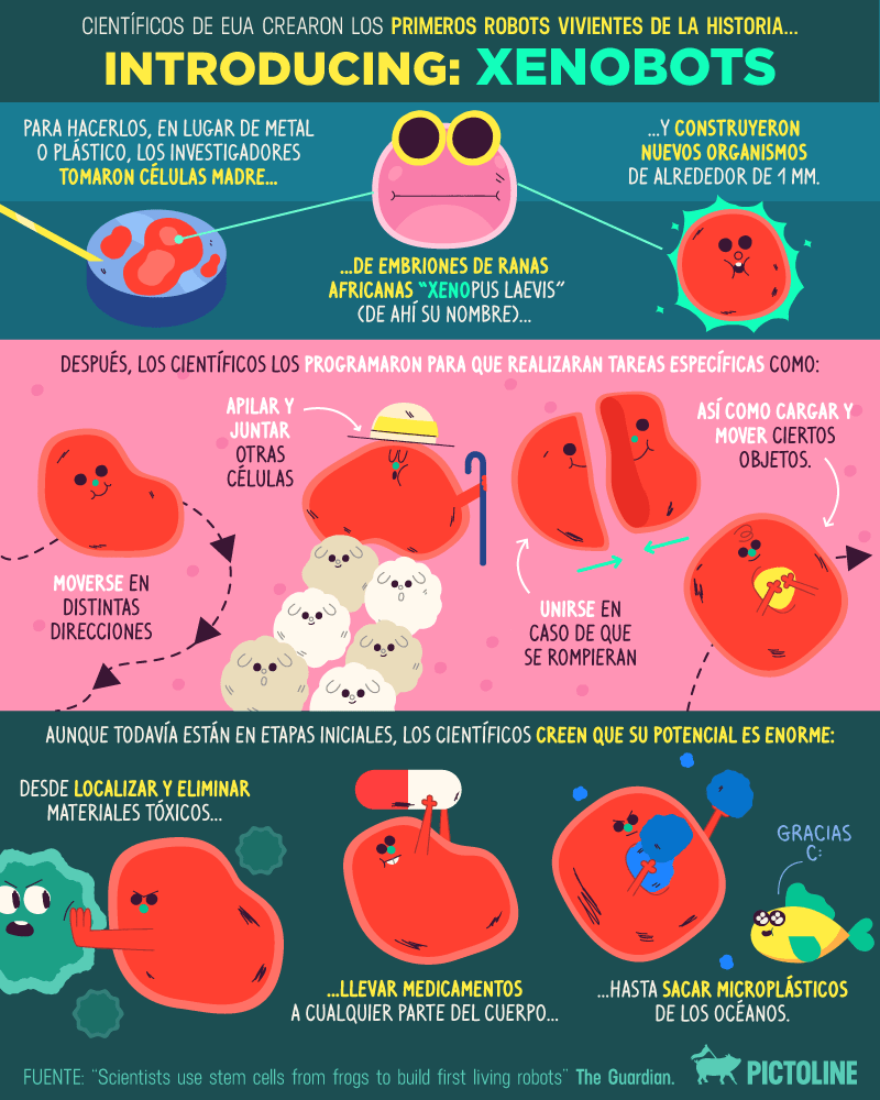 Pictoline-Permanencias-Voluntarias