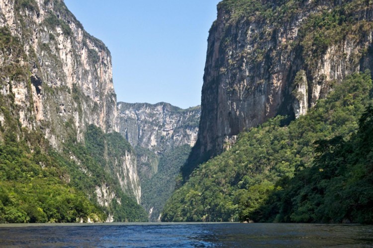 Naturaleza-México-Permanencias-Voluntarias