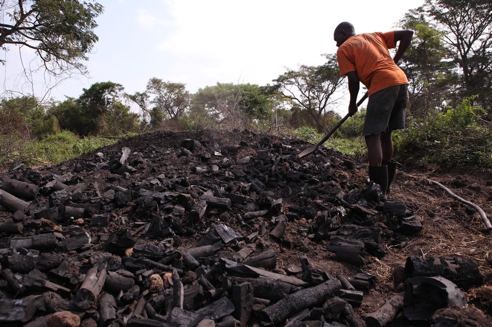 Carbon-Uganda-Permanencias-Voluntarias