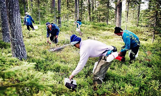bayas-Permanencias-Voluntarias