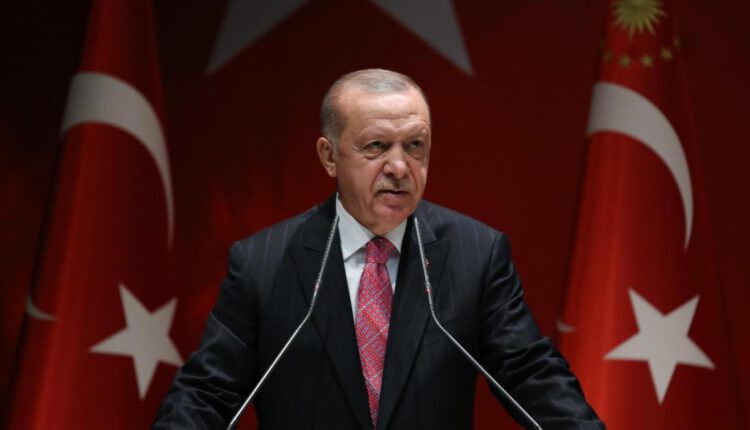 Erdogan-Permanencias-Voluntarias