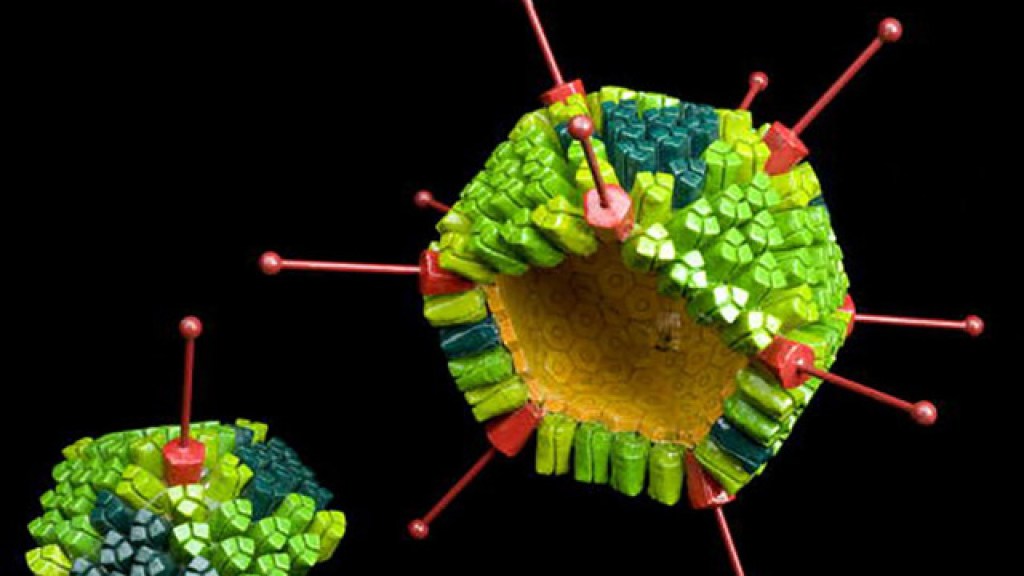 Adenovirus-Permanencias-Voluntarias