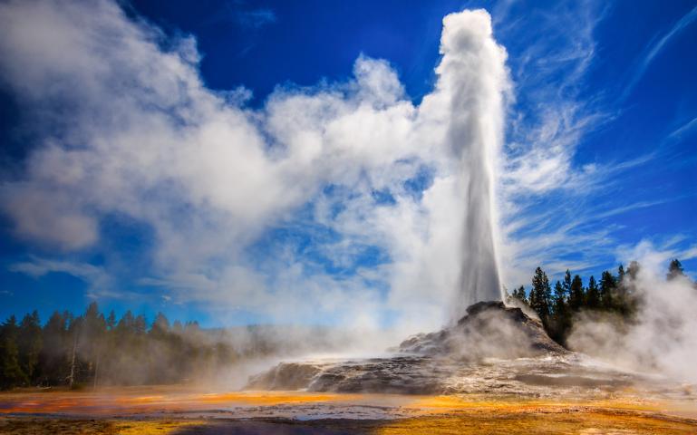 Yellowstone-Permanencias-Voluntarias