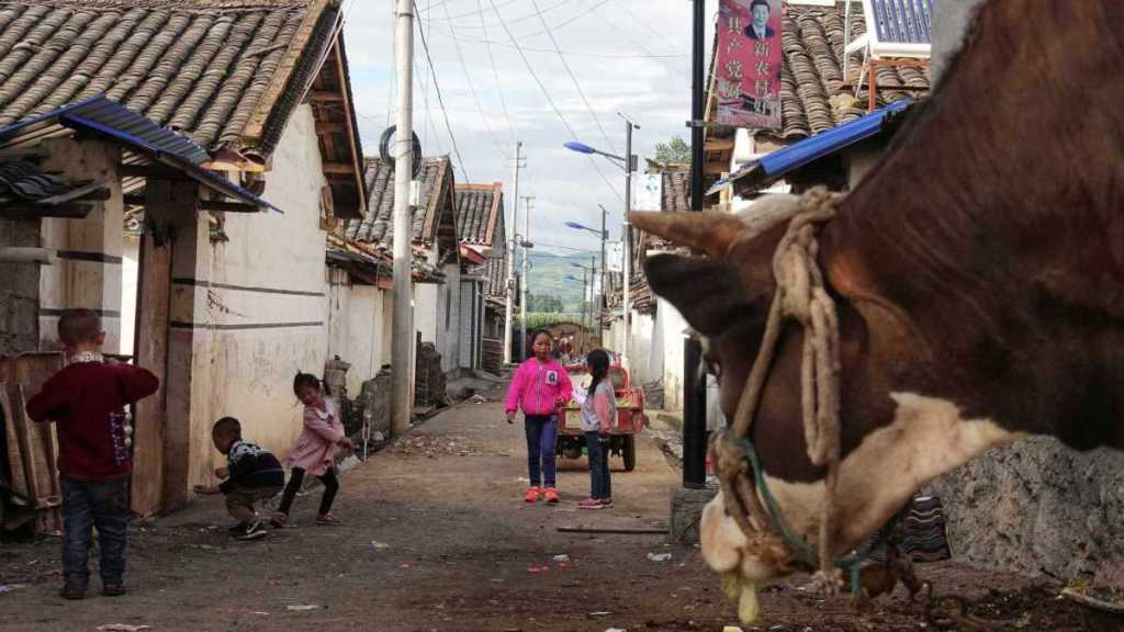China-Permanencias-Voluntarias