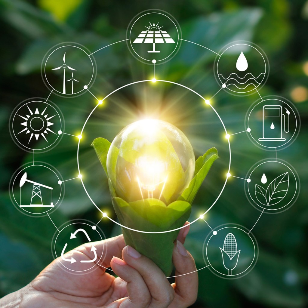 Energia-Renovable-Permanencias-Voluntarias